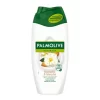 Palmolive® Naturals Duschcreme Kamelie & Mandel 250ML 7